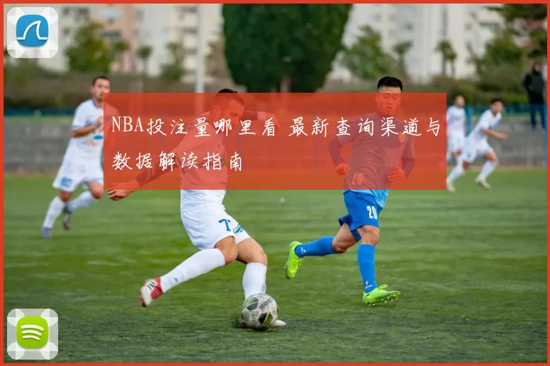 NBA投注量哪里看 最新查询渠道与数据解读指南