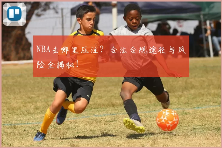 NBA去哪里压注？合法合规途径与风险全揭秘！
